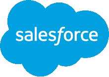 forcepoint Salesforce